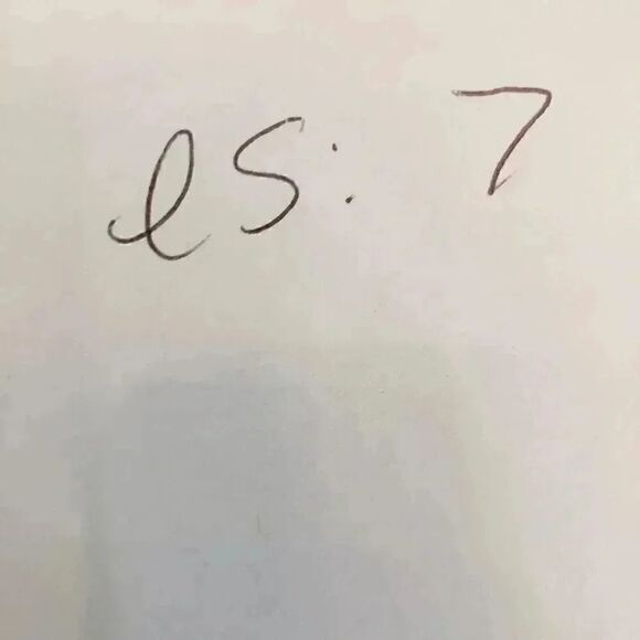 White Sierra Men's Dusty Blue Lined Swim Trunks - Picture 9 of 12